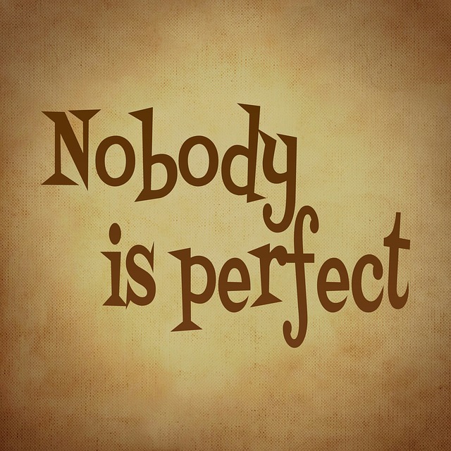 nobody is perfect